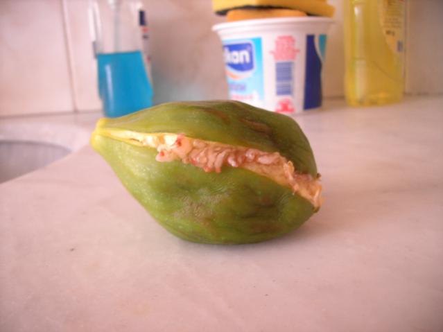 Name:  PICT0068.jpg
Views: 1607
Size:  21.4 KB