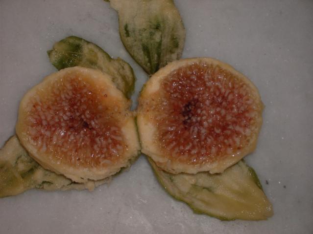 Name:  PICT0092.jpg
Views: 1592
Size:  30.7 KB