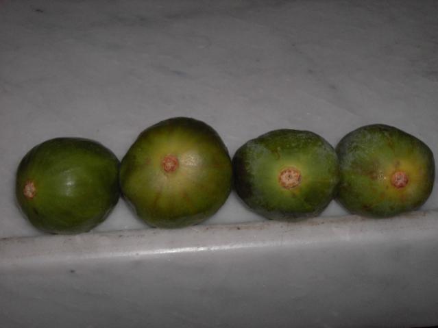 Name:  PICT0103.jpg
Views: 1578
Size:  20.1 KB