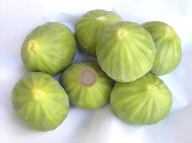 Name:  15.jpg
Views: 1909
Size:  24.7 KB