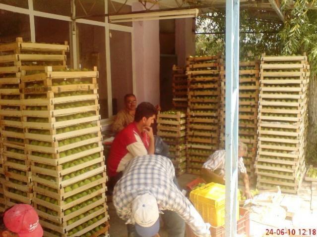Name:  24.jpg
Views: 1573
Size:  58.7 KB