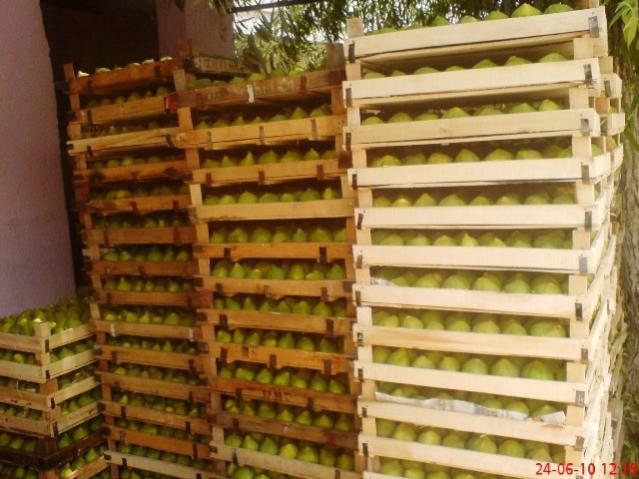 Name:  25.jpg
Views: 1548
Size:  52.3 KB