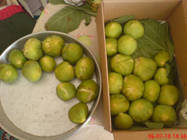 Name:  1.jpg
Views: 2258
Size:  38.0 KB