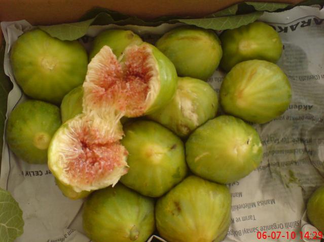 Name:  2.jpg
Views: 2198
Size:  37.1 KB