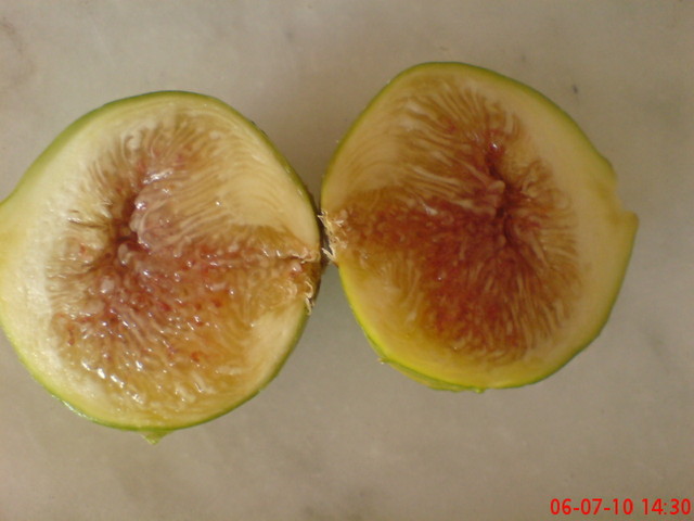 Name:  3.jpg
Views: 2206
Size:  58.9 KB