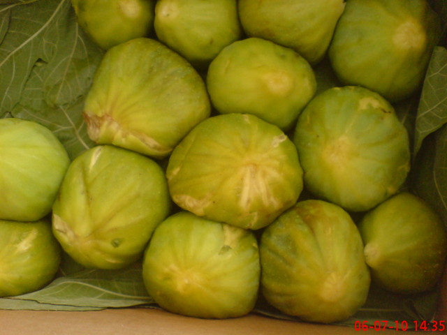 Name:  5.jpg
Views: 2269
Size:  68.7 KB