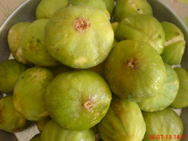 Name:  10.jpg
Views: 2125
Size:  33.8 KB