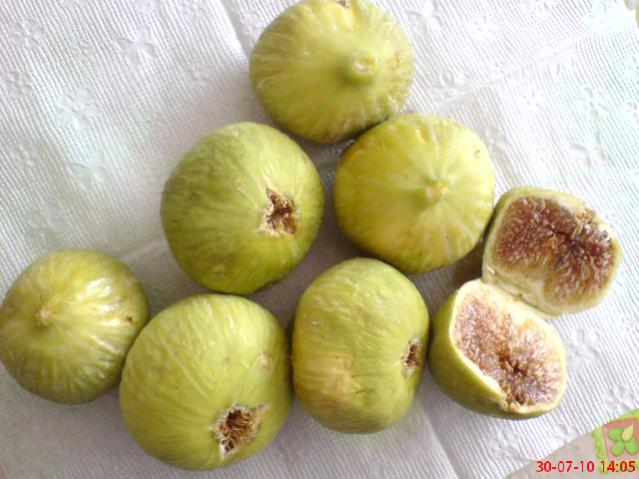 Name:  DSC01724.jpg
Views: 1954
Size:  45.9 KB