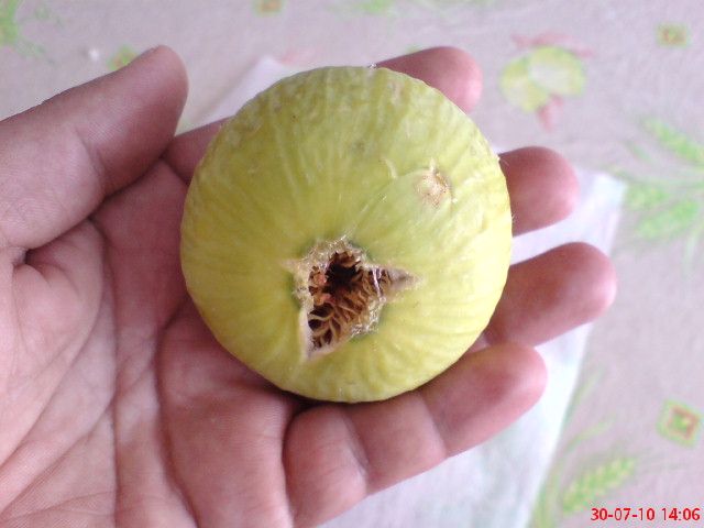 Name:  DSC01726.JPG
Views: 2001
Size:  63.7 KB