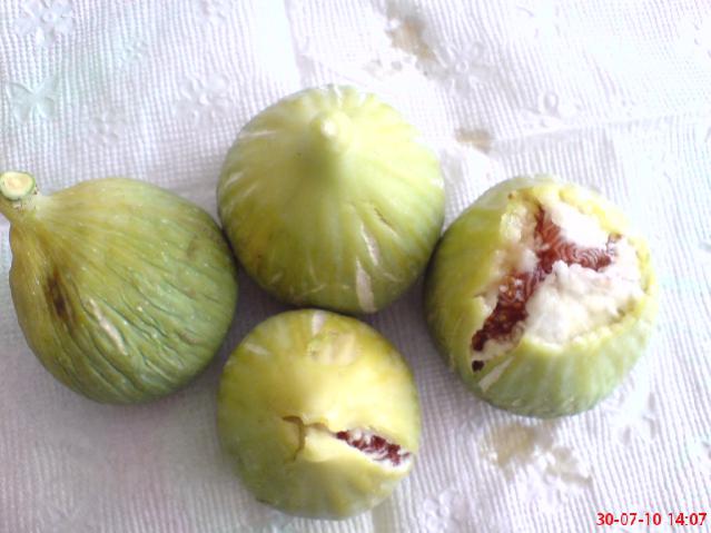 Name:  DSC01727.jpg
Views: 2458
Size:  38.3 KB