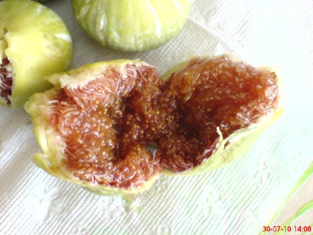 Name:  DSC01730.jpg
Views: 1929
Size:  43.5 KB