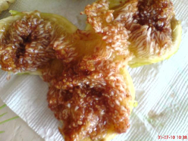 Name:  DSC01733.jpg
Views: 1882
Size:  45.9 KB