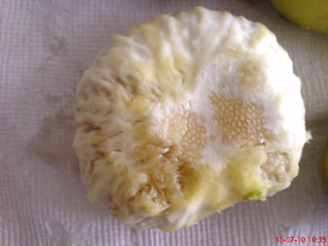 Name:  DSC01734.JPG
Views: 1884
Size:  66.8 KB