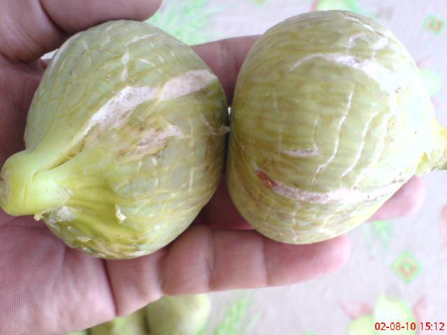 Name:  DSC01743.jpg
Views: 2242
Size:  32.1 KB