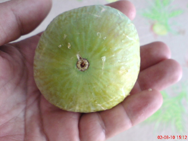 Name:  DSC01744.JPG
Views: 2204
Size:  62.5 KB