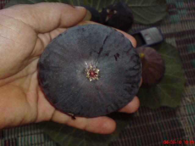 Name:  DSC01777.jpg
Views: 2514
Size:  29.1 KB