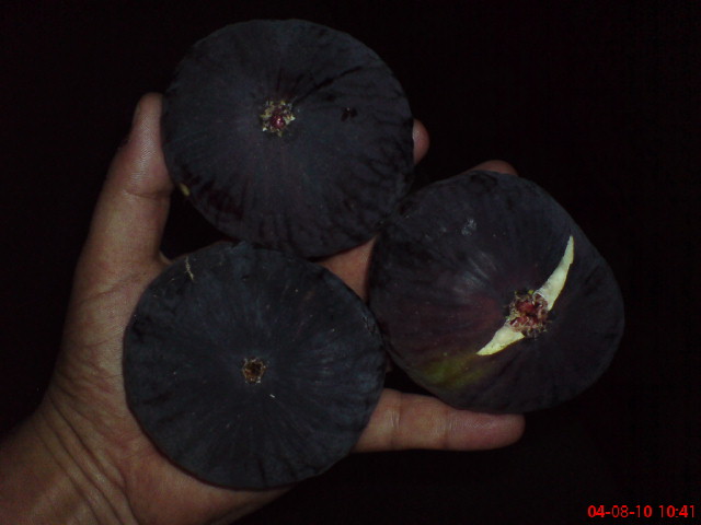 Name:  DSC01782.JPG
Views: 2471
Size:  48.7 KB
