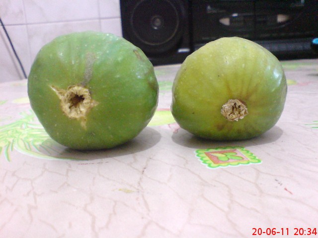 Name:  DSC02551.JPG
Views: 2240
Size:  59.1 KB