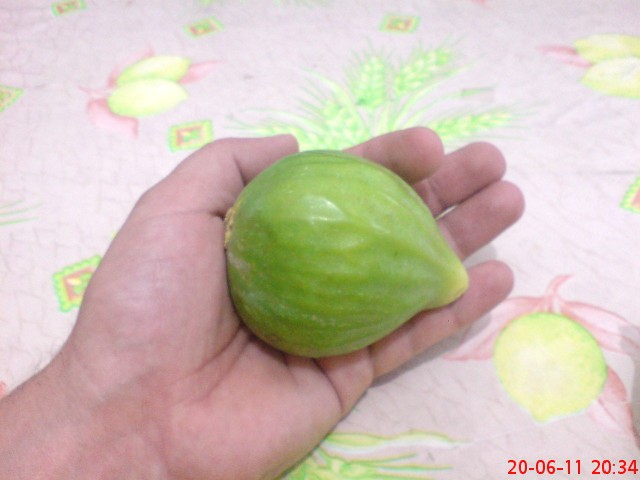 Name:  DSC02554.JPG
Views: 2219
Size:  50.0 KB