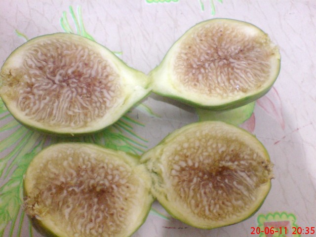 Name:  DSC02555.JPG
Views: 2249
Size:  69.4 KB