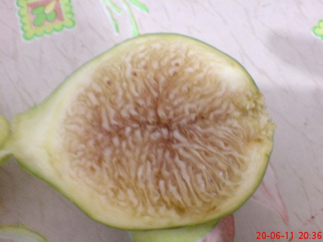 Name:  DSC02556.JPG
Views: 2213
Size:  53.9 KB