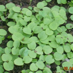Name:  our.jpg
Views: 11441
Size:  65.2 KB