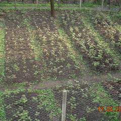 Name:  parsel.jpg
Views: 10665
Size:  52.8 KB
