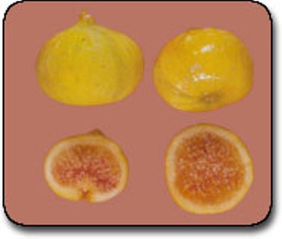 Name:  1100.jpg
Views: 2401
Size:  16.8 KB