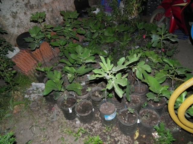 Name:  DSCF1225.jpg
Views: 2613
Size:  60.4 KB