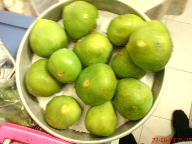 Name:  DSC03405.jpg
Views: 1744
Size:  38.8 KB