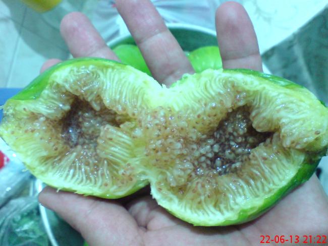 Name:  DSC03407.jpg
Views: 1721
Size:  43.6 KB