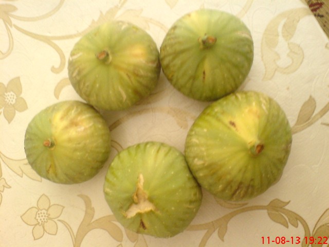 Name:  DSC03551.JPG
Views: 1832
Size:  61.8 KB