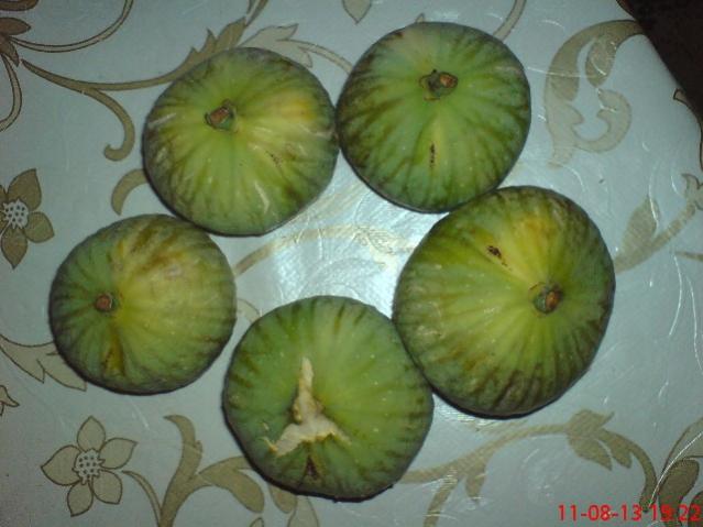Name:  DSC03552.jpg
Views: 2285
Size:  38.7 KB