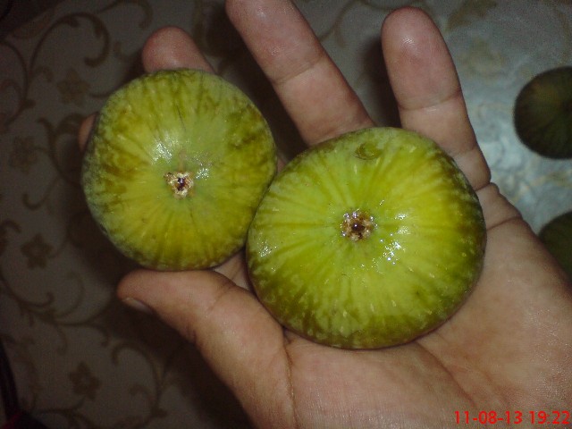 Name:  DSC03553.JPG
Views: 1668
Size:  69.4 KB