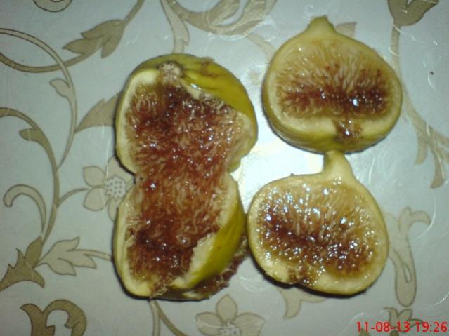 Name:  DSC03557.jpg
Views: 1647
Size:  41.1 KB