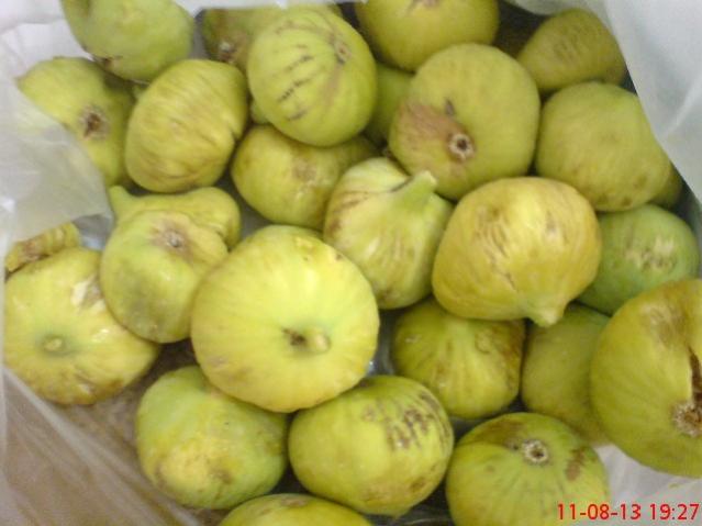 Name:  DSC03559.jpg
Views: 1619
Size:  33.7 KB