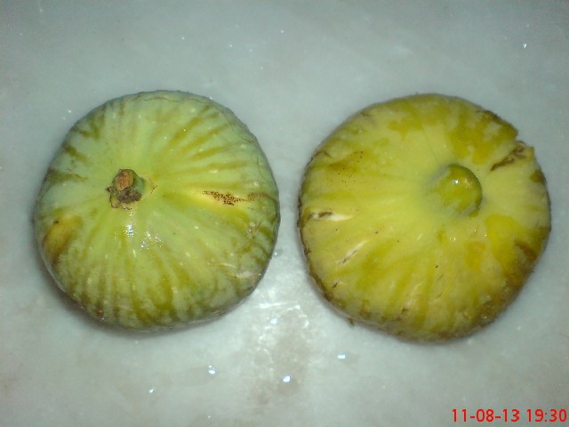 Name:  DSC03561.JPG
Views: 1673
Size:  58.8 KB