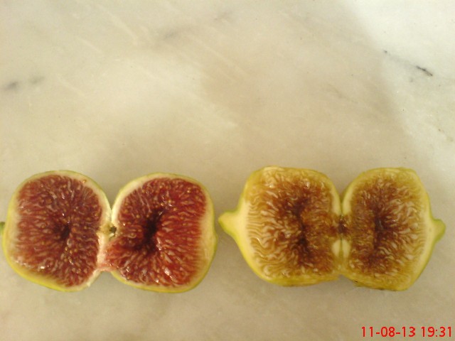 Name:  DSC03563.JPG
Views: 1633
Size:  61.0 KB