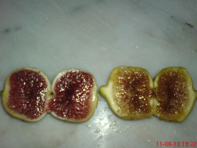 Name:  DSC03564.jpg
Views: 1647
Size:  30.3 KB