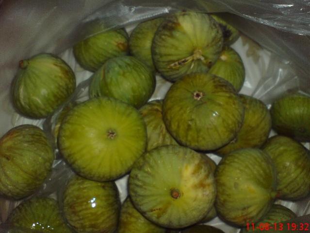 Name:  DSC03565.jpg
Views: 1662
Size:  35.3 KB