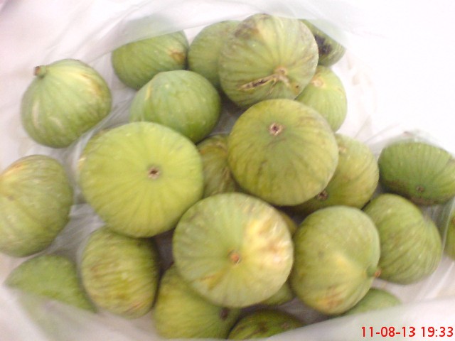 Name:  DSC03567.JPG
Views: 1633
Size:  61.9 KB