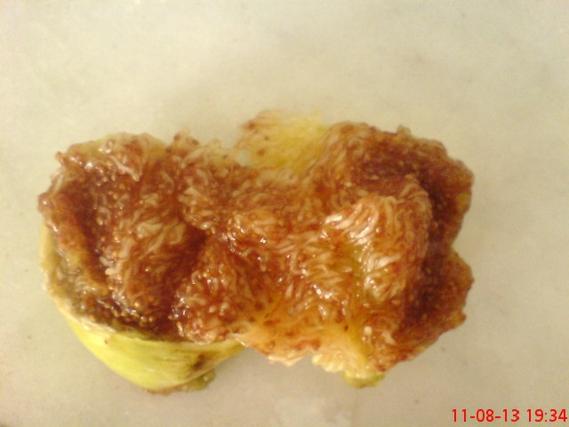 Name:  DSC03568.JPG
Views: 1574
Size:  64.0 KB