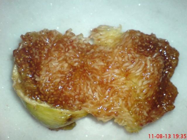 Name:  DSC03569.jpg
Views: 1609
Size:  39.1 KB
