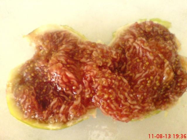Name:  DSC03571.jpg
Views: 1612
Size:  36.8 KB