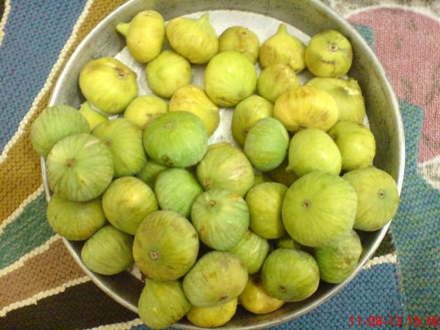 Name:  DSC03572.jpg
Views: 1635
Size:  52.6 KB