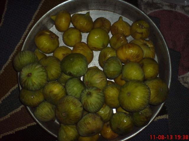 Name:  DSC03573.jpg
Views: 1584
Size:  39.2 KB