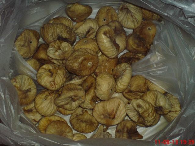 Name:  DSC03574.jpg
Views: 1605
Size:  46.0 KB