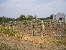 Name:  sahibinden_Resim 068.jpg
Views: 5555
Size:  59.7 KB