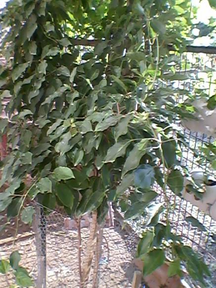 Name:  Fotoraf-0012.jpg
Views: 1247
Size:  64.8 KB