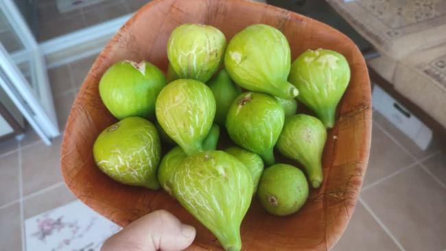 Name:  WhatsApp Image 2025-11-19 at 23.39.34.jpg
Views: 14
Size:  29.8 KB